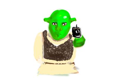 shrek nudes|shrek videos